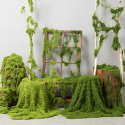 Wildflower simulated moss landscaping plant filamentous moss