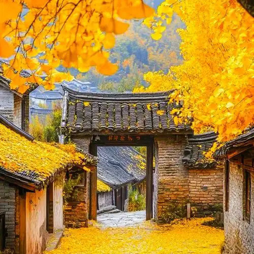 滇西秋色7日游/腾冲银杏村-无量山樱花谷-哀牢山-瑞丽-芒市-和顺