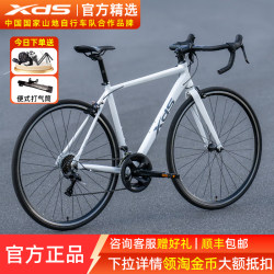 Xidesheng Road Bike Rc200 Bicycle 14-Speed Entry-Level Curved Handlebar Ultra-Light Aluminum Alloy Men's and Women's Sports Bicycle