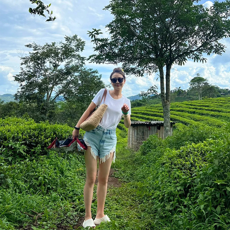 普洱 太阳河森林公园+中华普洱茶博览苑一日游~独立出行+纯玩团