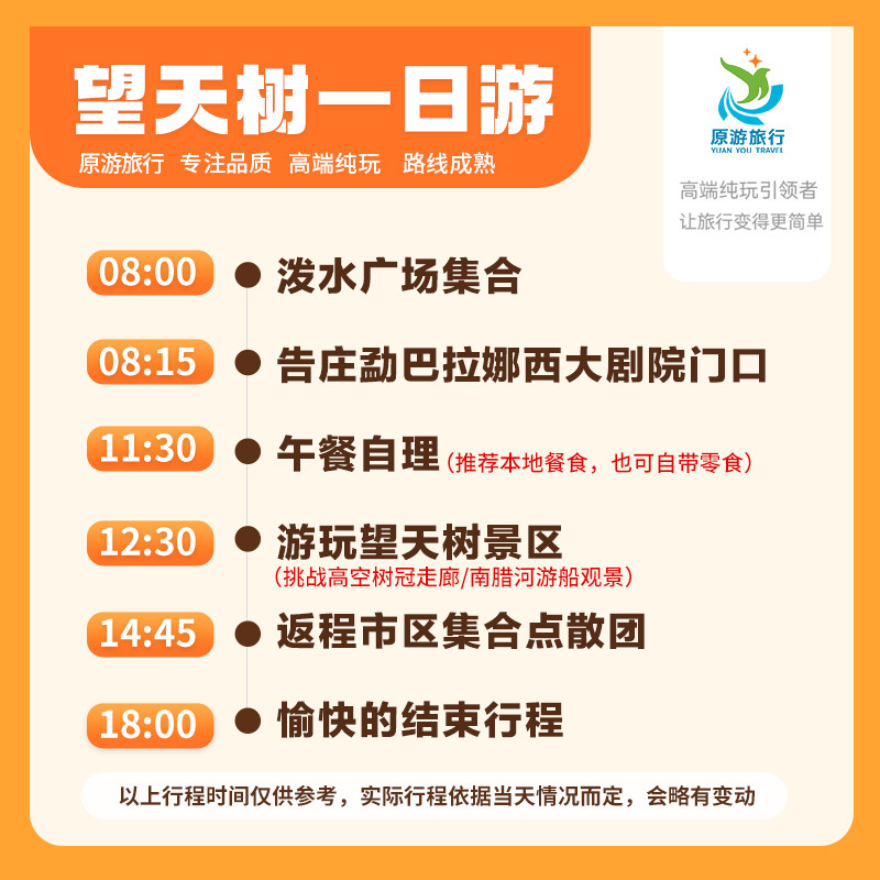 云南旅游西双版纳望天树景区直通车纯玩一日游 探秘雨林空中走廊