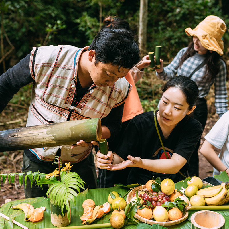 西双版纳基诺山雨林徒步纯玩一日游-竹筏/秋千/雨林大餐