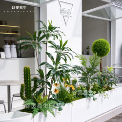 Artificial Plant Landscaping Shop Entrance Flower Box Micro Landscape Fake Green Plants Imitation Bamboo Lily Combination Photo Props