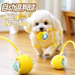 Cat toys automatically teasing cat ball Self -relief, Small Smart Stuff, Smart Stub, Catal Constellation Consumption Stealing Ball Electric Dog Ball