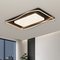 Living Room Ceiling Light with a Luxurious and High-End Feel, Creative Ice Crack Pattern Main Light, 2026 New Model, Whole House Lighting Package