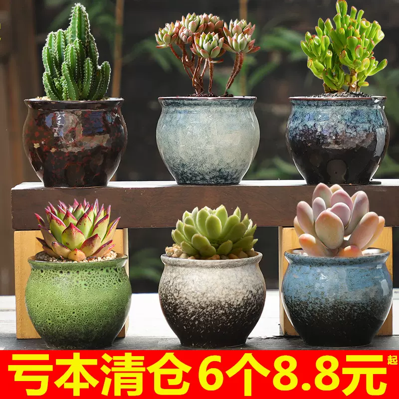 多肉花盆粗陶陶瓷特价包邮室内透气肉肉植物盆栽特大 多肉花盆粗陶陶瓷特价包邮室内透气肉肉植物盆栽特大