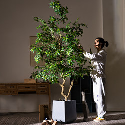 High-End Giant Yew Tree Artificial Plant Indoor Fake Tree Potted Landscaping Ornament Bionic Green Plant Living Room Decoration