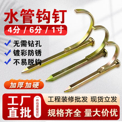 Ppr Water Pipe Hook Nails, Pvc Fixing Nails, Cement Nails, Steel Nails, Clamp Nails, Wire Conduit Type Nails, Pipe Clips, 20mm Pipe Clamp Nails