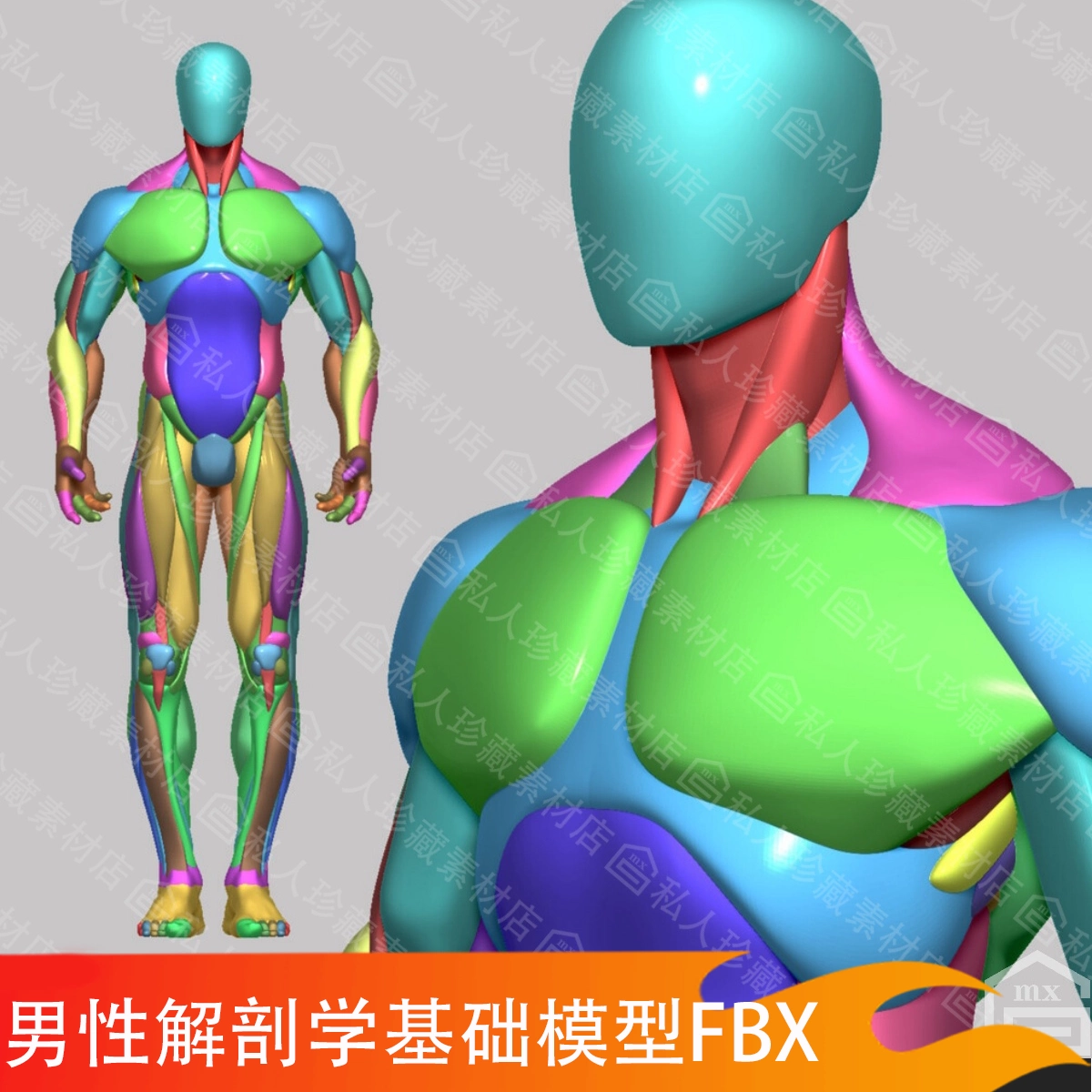 人体模型 zbrush男性人体3d解剖学基础模型人物角色素体肌肉块CG雕刻