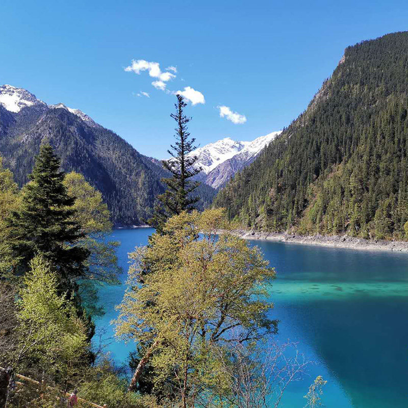 松潘高铁站到九寨沟黄龙直通车商务车拼车可选回程九寨沟电子地图