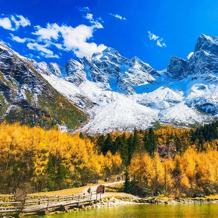 成都理县 毕棚沟/甘堡藏寨 一日游 冬季赏雪 纯玩 含景区门票