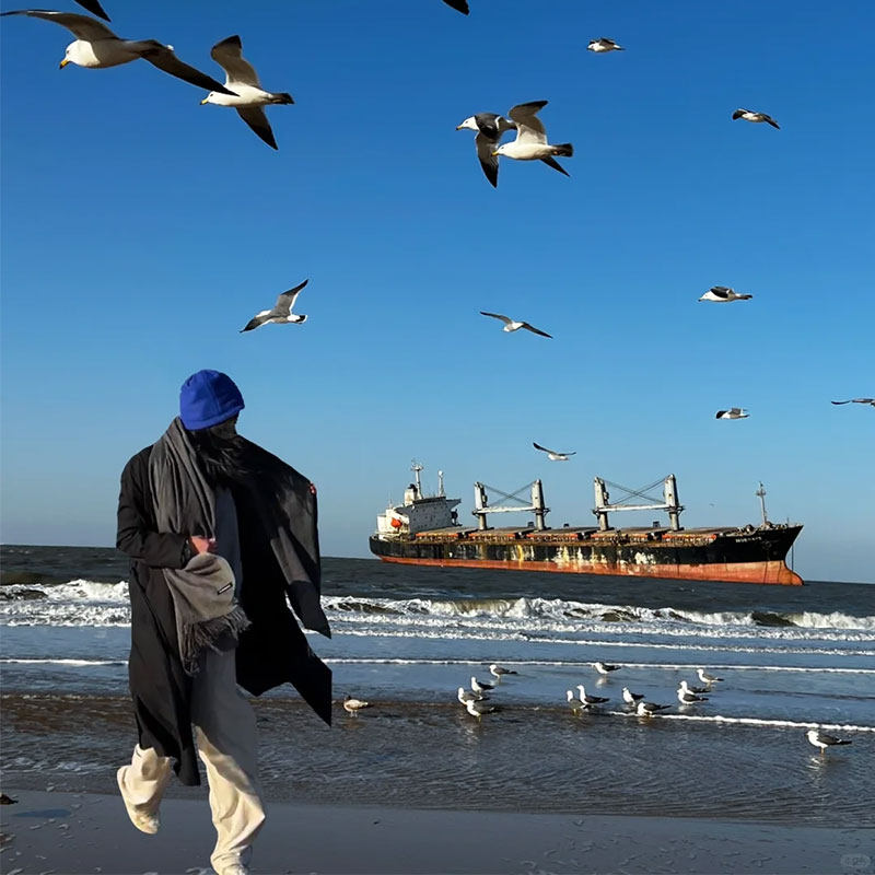 『高铁往返』威海4日3晚6人团丨全程近海酒店+真纯玩无购物