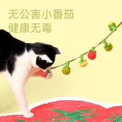 Cat Toys, Various Colored Tomato Teaser Sticks, Self-Entertainment Boredom Buster, Scratch-Resistant and Bite-Resistant Cat Teaser String, Cat Supplies Ball