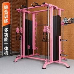 Little Flying Bird Smith Comprehensive Training Equipment Commercial Multi-Functional Fitness Equipment 2-in-1 Multi-Station Machine