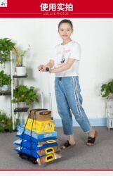 Mini Lightweight Outdoor Luggage Cart, Foldable Portable Shopping Cart for Home Use, Small Trolley for Carrying Bags and Luggage