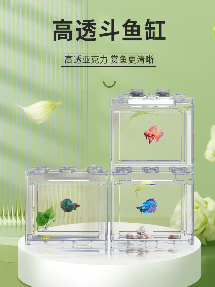 Small Acrylic Betta Tank - Desktop Fish Isolation Box