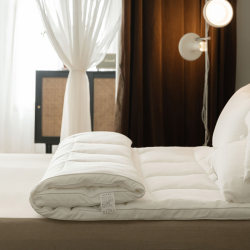 Lingyun 2025 New Model Feather Velvet Brushed Mattress Single Piece Soft Mattress Simple Solid Color Thickened Single Bed Product