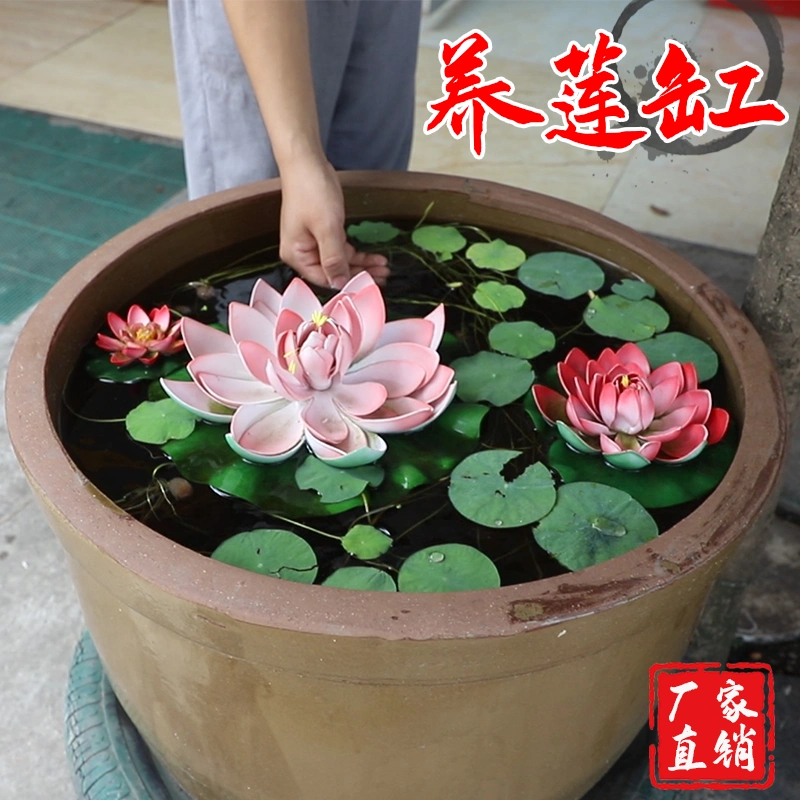 家用蓮花缸陶瓷庭院睡蓮缸室外陽臺養荷花土陶盆缸水缸養魚造景缸 Taobao