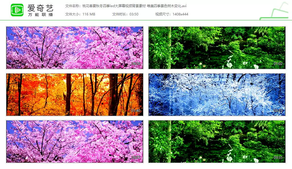 桃花春夏秋冬四季led大屏幕视频背景素材唯美四季景色树木变化