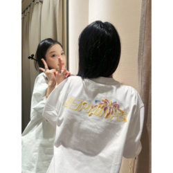 American High Street Embroidered Short-Sleeve T-Shirt for Women, Summer Pure Cotton Half-Sleeve Trendy Brand Retro Loose Design Niche Top