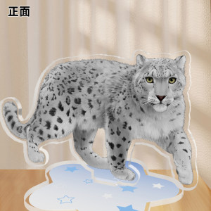
Snow leopard, lynx, desert cat, plateau animal themed signboard Xining Wildlife Park Ecological Culture and Creation