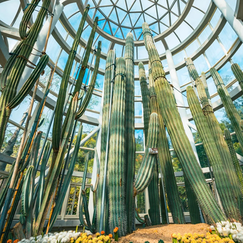 厦门赶海+植物园+帆船纯玩一日游亲子网红山海电梯热带雨林