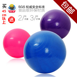 25/30/35/45/55/65/75/85/95/105cm Yoga Ball Small and Large Size Fitness Inflatable Ball Thickened