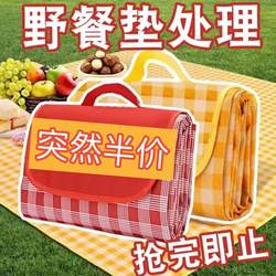 Picnic Mat, Outdoor Moisture-Proof Mat, Portable Spring Outing Mat, Picnic Cloth, ins Wind Camping Mat, Picnic Supplies