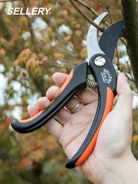 Zallery Scissors American Slalery Sellery Gardening Branch Pruning/Flower Arts/Fruit Cut ...