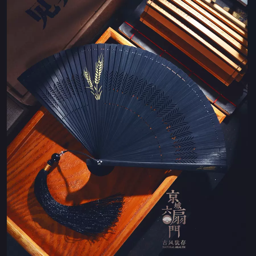 中国风禅意文化礼物古风镂空全竹扇子小黑色国风流苏