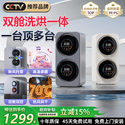 Double-Cavity Mini Wall-Mounted Washing Machine for Underwear and Socks, Integrated Washing and Drying, Fully Automatic, Small Household Dual-Tub Machine