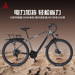 Phoenix F9 |   Lithium Battery Electric-Assisted Bicycle, Lightweight Commuting, New National Standard Lithium Battery Bike, Men's and Women's Electric Bicycle