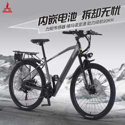 Phoenix F9 | Lithium Electric Power Assisted Bicycle Light Work Clothing New National Standard Lithium Electric Car Men's and Women's Battery Bicycle