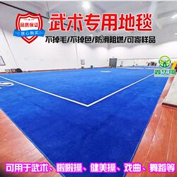 Martial Arts Carpet for Somersaults, Gymnastics, Special Martial Arts Training, Non-Shedding, Dance, Opera, Gymnastics, Non-Slip Carpet
