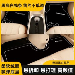 Car Universal Floor Mats, Cartoon Floor Mats, Non-Slip, Full Set, Special for Water Absorption, Dirt Resistance, Wear Resistance, Driver and Passenger Car Floor Mats
