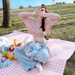 Disposable Picnic Mat Waterproof and Moisture-Proof Thickened Camping Picnic Cloth Mat Lawn Beach Mat Music Festival Mat