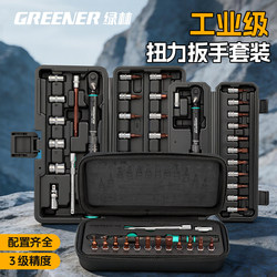 Green Forest Bicycle Torque Wrench Set High Precision Mini Road Bike Small Torque Wrench Repair Tool