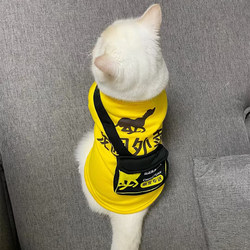 Cat Clothing Backpack for Delivery, Spring and Autumn Thin Style, Anti-Shedding, Suitable for Ragdoll and British Shorthair Kittens, Cute and Funny Pet Outfit
