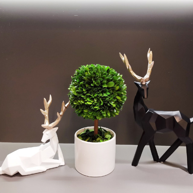Office desktop green plants mood stabilizing flower pot artifact living ...