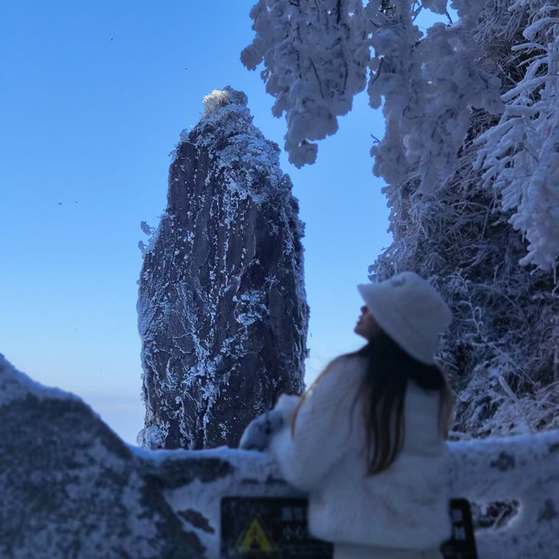 郴州莽山·五指峰景区+高椅岭旅游区+东江湖风景2日1晚私家团