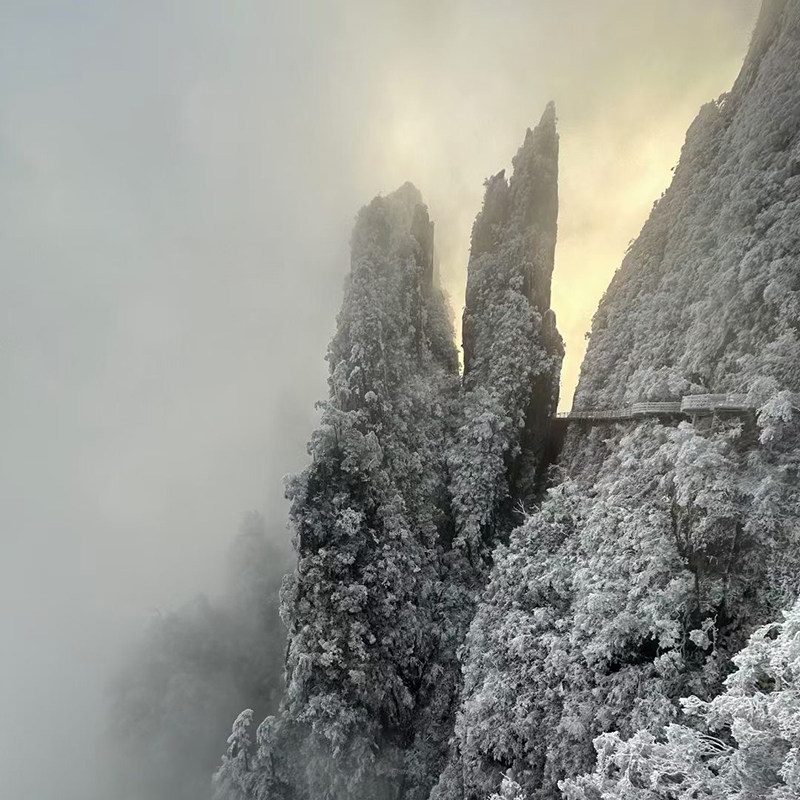 郴州莽山·五指峰景区+高椅岭旅游区+东江湖风景2日1晚私家团