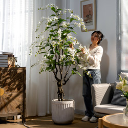 High-End Artificial Plant Hanging Jasmine Indoor Living Room Floor-Standing Potted Fake Tree Bionic Green Plant Decoration Ornament