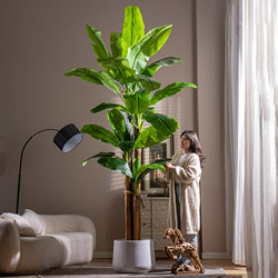Extra-Large Simulated Green Plant Banana Tree, High-End Light Luxury Living Room Landscaping Decoration, Artificial Plant Fake Tree Potted Ornament