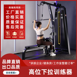 High Pull-Down Trainer, High and Low Pull Integrated Machine, Gym Seated Rowing Machine, Back Training, Professional Fitness Equipment