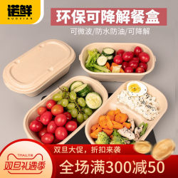 Sugar Cane Bagasse Lunch Box, Light Meal Takeout Box, Disposable Lunch Box, Microwaveable Fast Food Box, Bento Box, Biodegradable and Fat-Reducing
