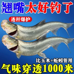 Top mouth crazy bait additive additives Dedicated small medicine wild fish fishing black pit fishing big tillers dedicated bait fish temptation
