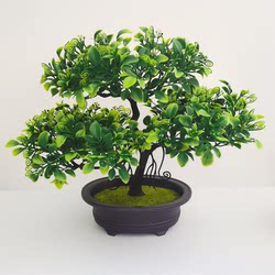 Artificial Money Plant Bonsai for Living Room, Small Artificial Welcoming Pine Tree, Desktop Fake Flowers, Micro Landscape Decoration