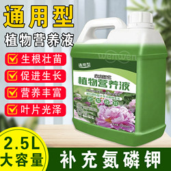 Universal plant nutrient solution for first aid yellow leaf stiff seedlings
