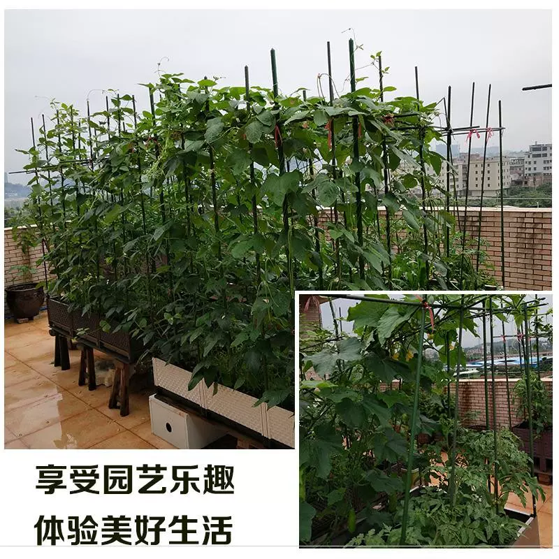 固定用品花支柱篱笆网菜园种菜绿植花盆花架支撑杆