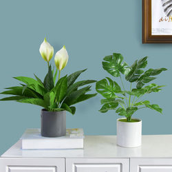 Nordic Artificial Plant Ornaments, Fake Green Plants, Bonsai, Office Interior Decorations, Home Living Room, Monstera Small Potted Plants